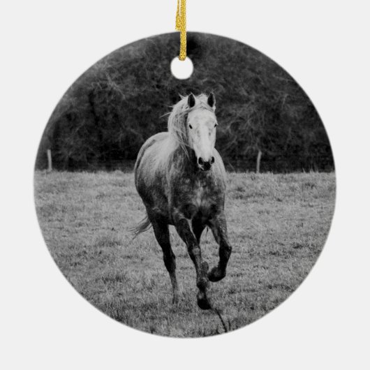 馬の記念碑ハートポピー水の色フォトグレー セラミックオーナメント (裏面)