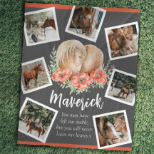 馬の記念碑ハートポピー水の色フォトグレー