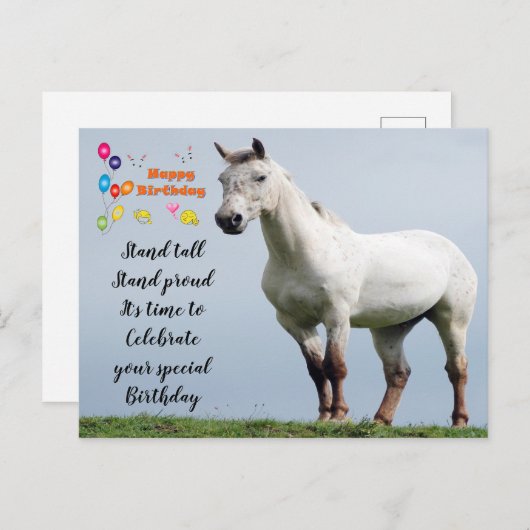 馬の誕生日の挨拶 ポストカード (正面/裏面)