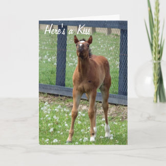 馬の誕生日はカードに接吻します カード