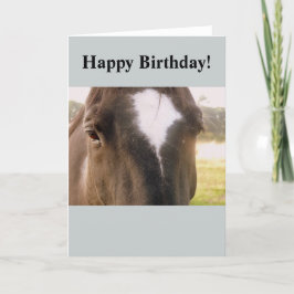 馬の誕生日カード カード