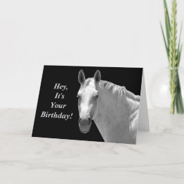 馬の誕生日カード カード