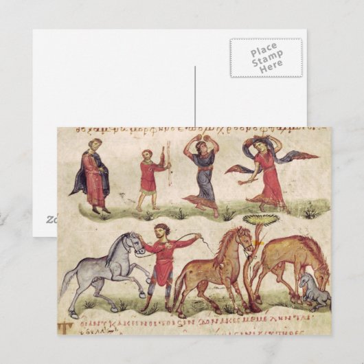 馬の調教師 ポストカード (正面/裏面)