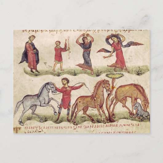 馬の調教師 ポストカード (正面)