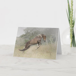 馬の跳躍は カード