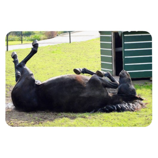 馬の転が可撓磁石 マグネット (横)