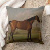 馬の農場牧場乗車は西部のウマ科のなペットを遊ばします クッション (ブランケット)
