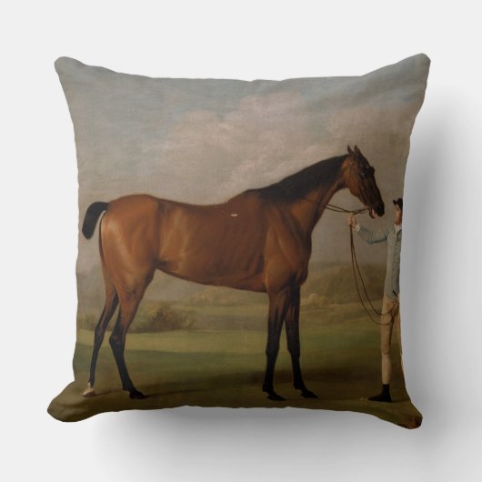 馬の農場牧場乗車は西部のウマ科のなペットを遊ばします クッション (正面)