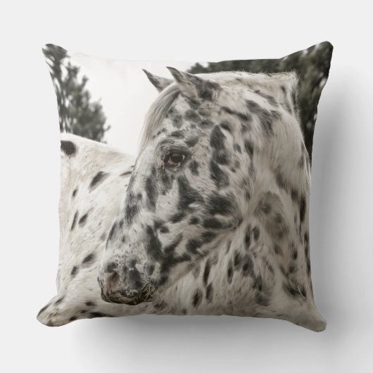 馬の農場牧場乗車は西部のウマ科のなペットを遊ばします クッション (正面)