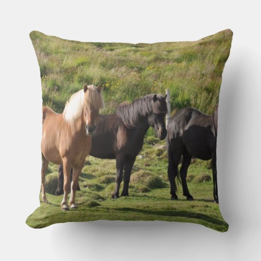 馬の農場牧場乗車は西部のウマ科のなペットを遊ばします クッション (正面)
