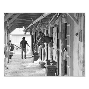 馬の避難所のSaratoga Shedrow フォトプリント