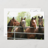 馬の郵便はがき ポストカード (正面/裏面)