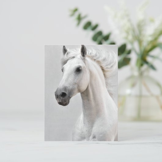 馬の郵便はがき ポストカード (スタンド正面)