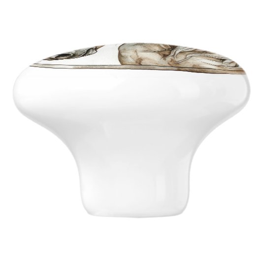 馬の野生の飼い慣らし時代の無いコレクション セラミックノブ (側面)