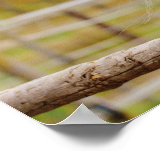 馬の門 ポスター (角)