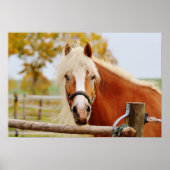 馬の門 ポスター (正面)