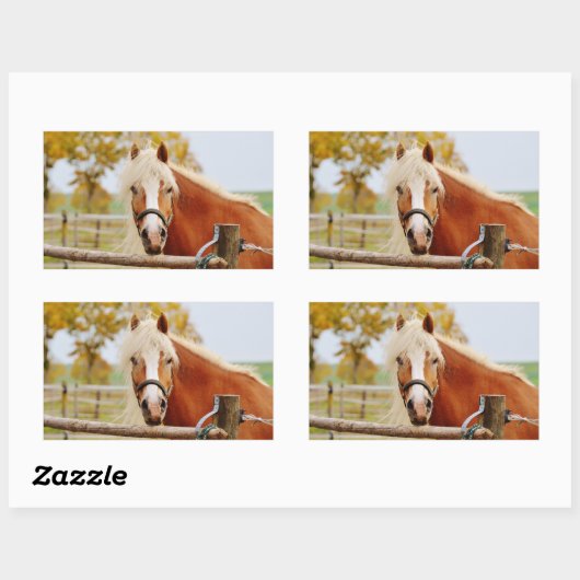 馬の門 長方形シール (シート)