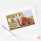 馬の門 長方形シール (封筒)