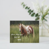 馬の隣人はピンを適用する必要がない ポストカード (スタンド正面)