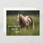 馬の隣人はピンを適用する必要がない ポストカード (正面/裏面)
