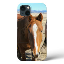 馬の電話ケース