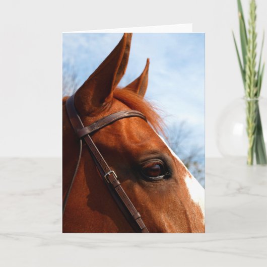 馬の頭の写真のグリーティングカード カード (正面)