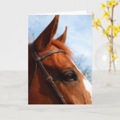 馬の頭の写真のグリーティングカード カード (黄色い花)