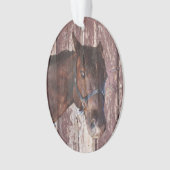 馬の頭の茶色の目は私を見る オーナメント (正面)