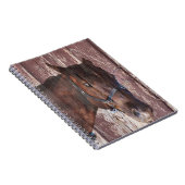 馬の頭西の彼の目を見る。 ノートブック (右側)