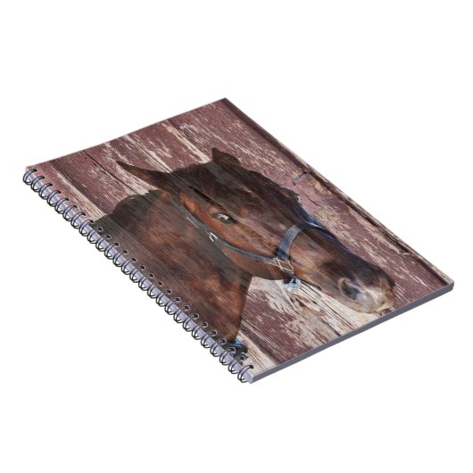 馬の頭西の彼の目を見る。 ノートブック (右側)