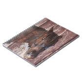 馬の頭西の彼の目を見る。 ノートブック (左側)