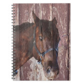 馬の頭西の彼の目を見る。 ノートブック (正面)