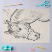 馬の頭（Alfred Dehodencq著） 薄葉紙 (クラフト)