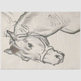 馬の頭（Alfred Dehodencq著） 薄葉紙