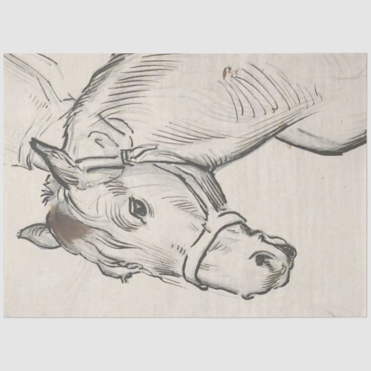 馬の頭（Alfred Dehodencq著） 薄葉紙 (正面)