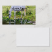 馬の飲料水フォトプリント 名刺 (正面/裏面)