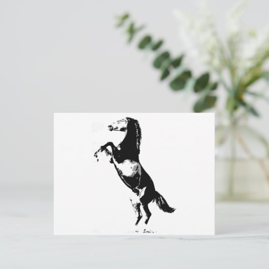 馬の飼育 ポストカード (スタンド正面)