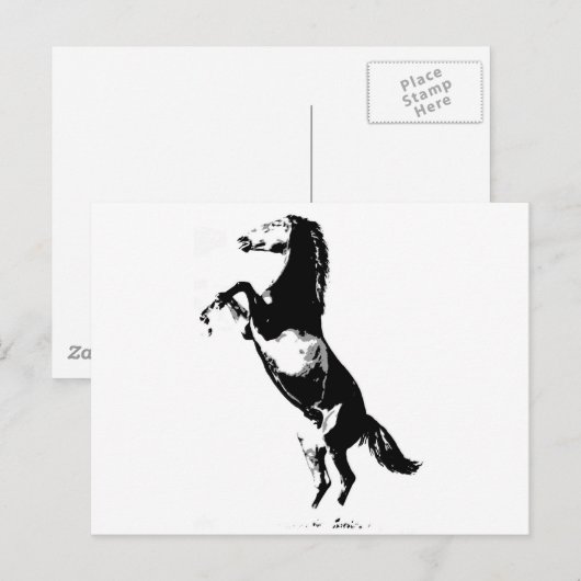 馬の飼育 ポストカード (正面/裏面)