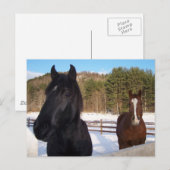 馬の香り ポストカード (正面/裏面)