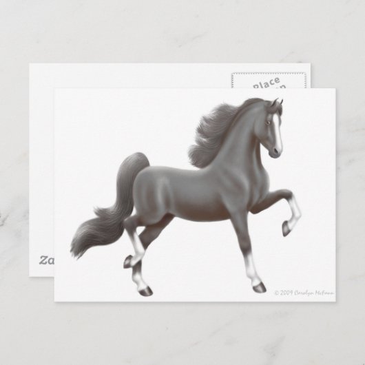 馬の馬のはがき ポストカード (正面/裏面)