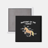 馬の馬の乗馬の馬解剖学 マグネット (正面/裏面)
