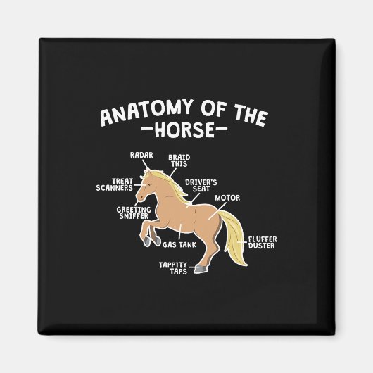 馬の馬の乗馬の馬解剖学 マグネット (正面)