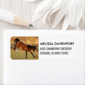 馬の馬の茶色の写真とよくはしゃぐ野生 ラベル (インサイチュ)