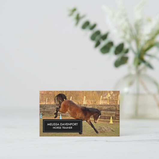 馬の馬の茶色の写真とよくはしゃぐ野生 名刺 (スタンド正面)