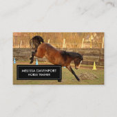 馬の馬の茶色の写真とよくはしゃぐ野生 名刺 (正面)