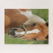 馬の馬術 ジグソーパズル (横)