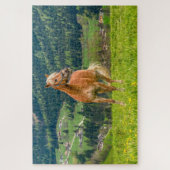 馬の馬術 ジグソーパズル (縦)