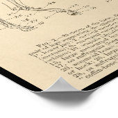 馬の骨格解剖図 ポスター (角)