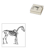 馬の骨組みのアートスタンプ ラバースタンプ (押印)