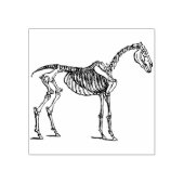 馬の骨組みのアートスタンプ ラバースタンプ (インプリント)